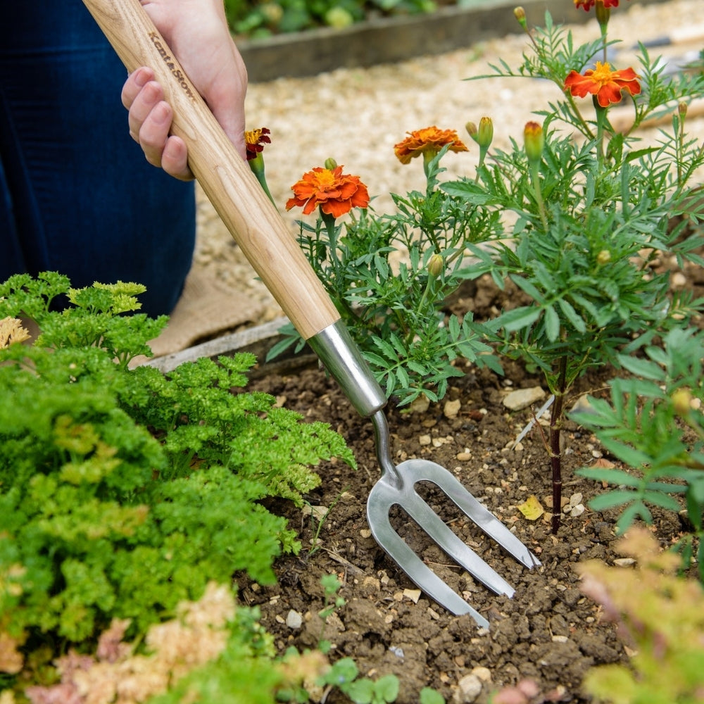 Kent & Stowe Border Hand Fork Stainless Steel