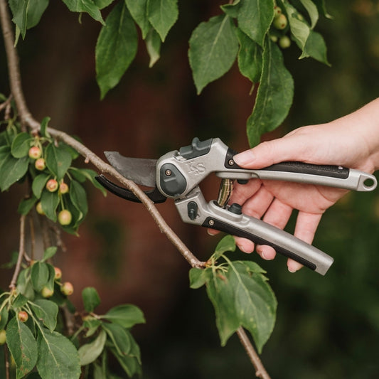 Kent & Stowe Eversharp All Purpose Bypass Secateurs