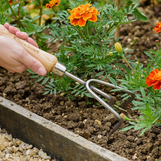 Kent & Stowe Hand 3 Prong Cultivator Stainless Steel