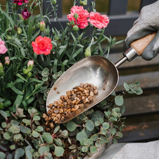Kent & Stowe Hand Potting Scoop Stainless Steel