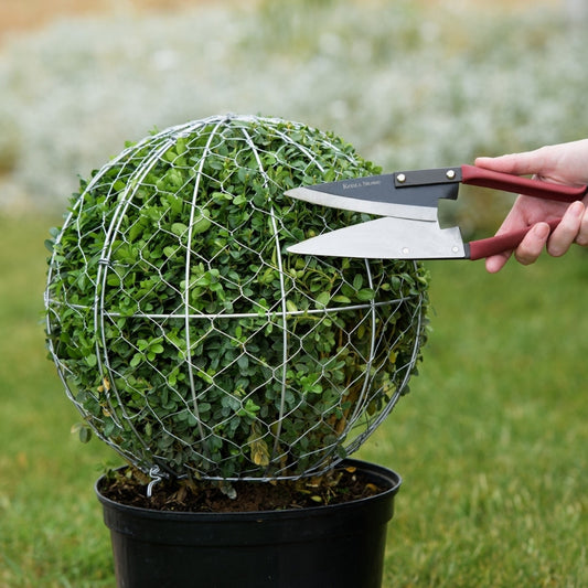 Kent & Stowe Large Topiary Shears