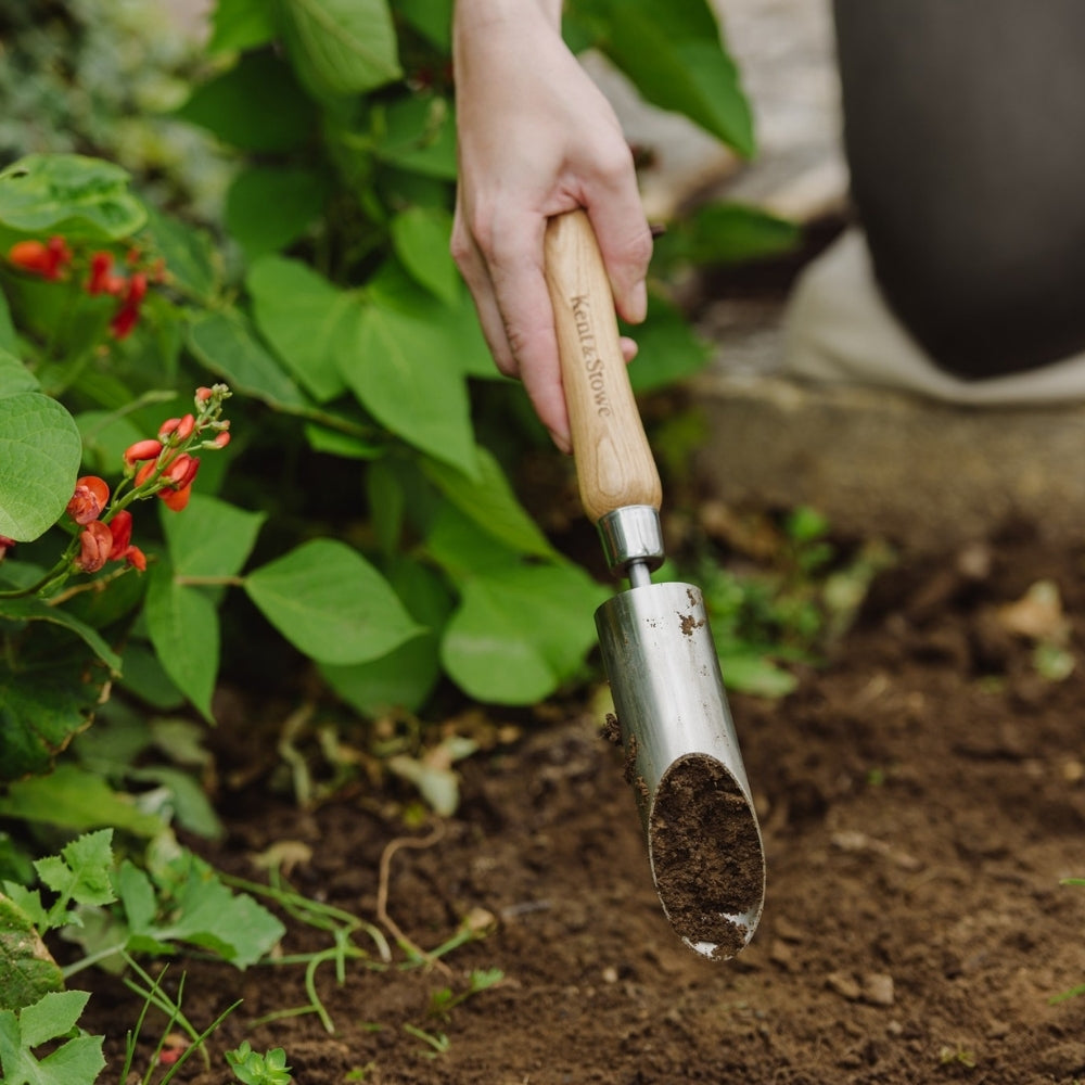 Kent & Stowe Small Bulbs Planter Stainless Steel