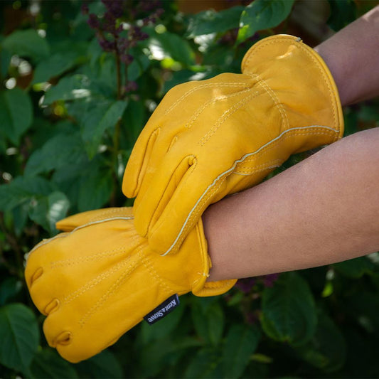 Kent & Stowe Luxury Leather Gloves Ladies Small