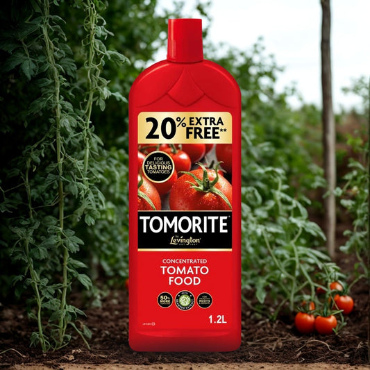 Levington Tomorite Concentrated Tomato Food 1L +20% Free