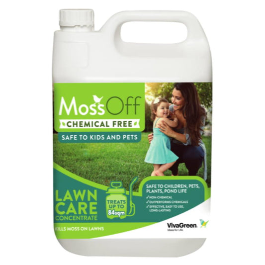 Moss off Lawn