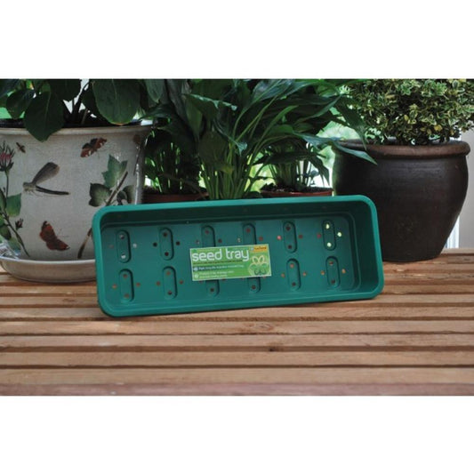 Narrow Seed Tray Green With Holes