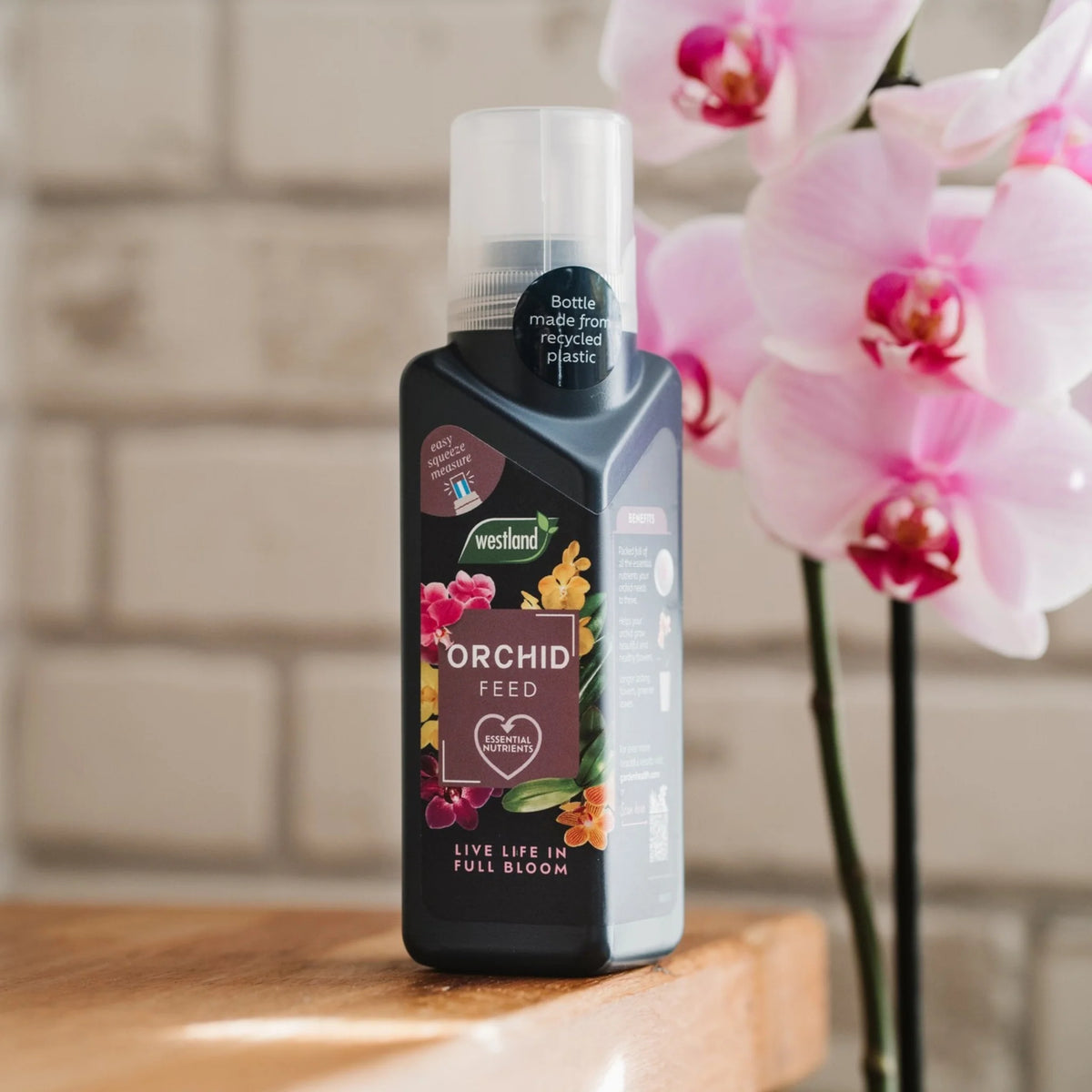 Westland Orchid Feed Concentrate 200ml
