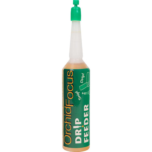 Orchid Focus Drip Feeders 38ml - Single