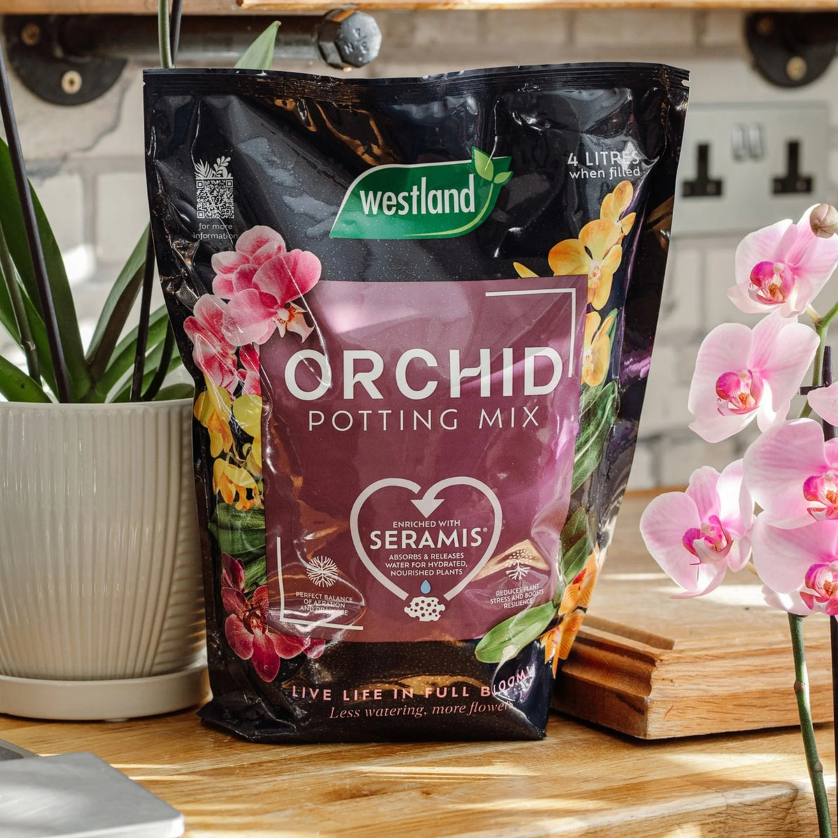 Westland Orchid Potting Mix 4L