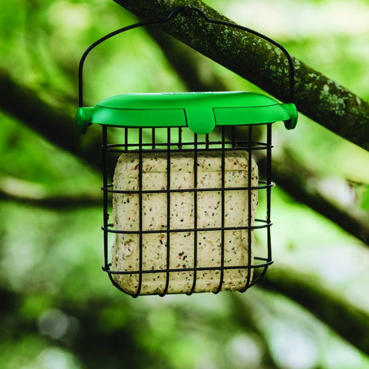 Gardman Peanut Suet Feast Bird Food 300g