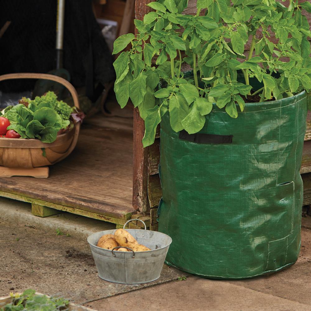 Planters, Pots & Troughs