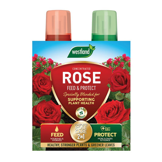 Feed And Protect 2In1 Rose 500Ml