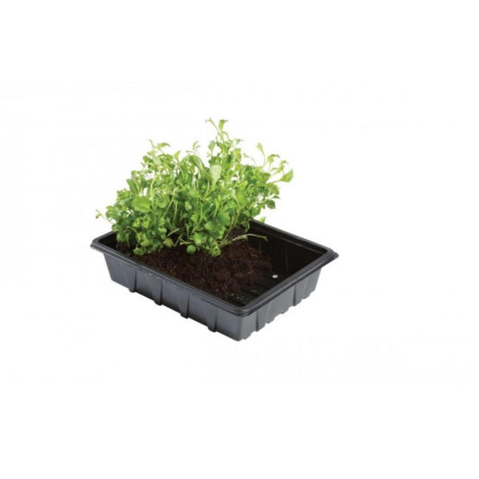 Professional Half Seed Tray