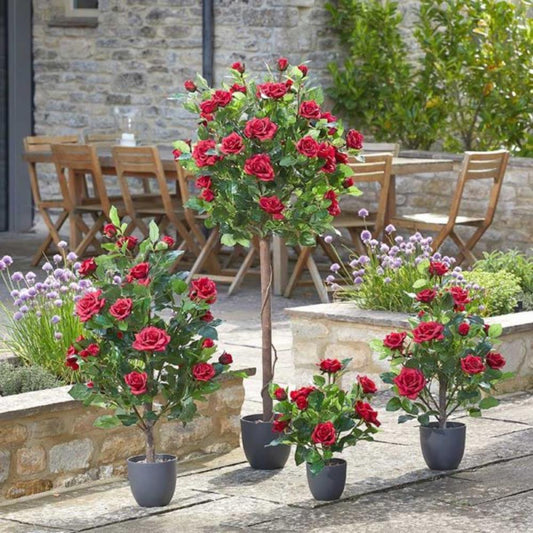 Regent'S Roses - Ruby Red 40cm