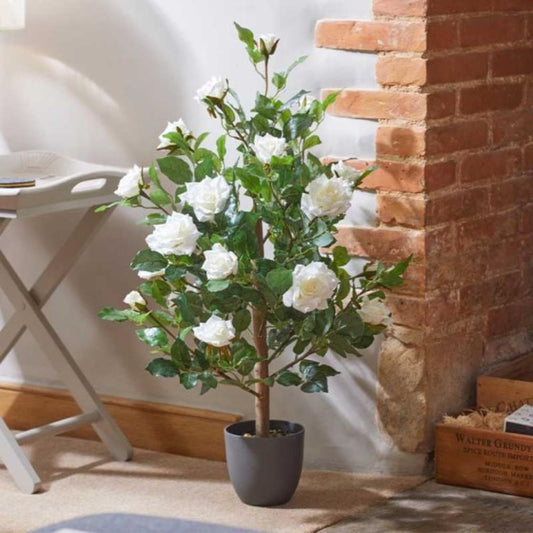 Regent'S Roses - White 80cm