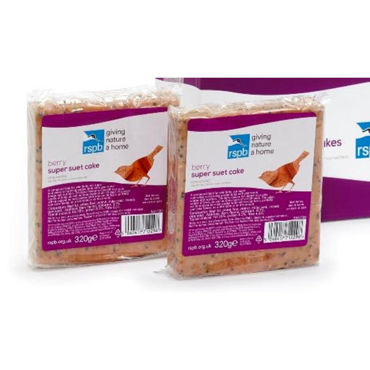 RSPB Super Suet Cake With Berry 320g