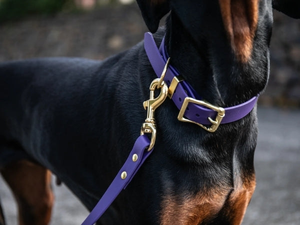 Storey's & Tails Demo