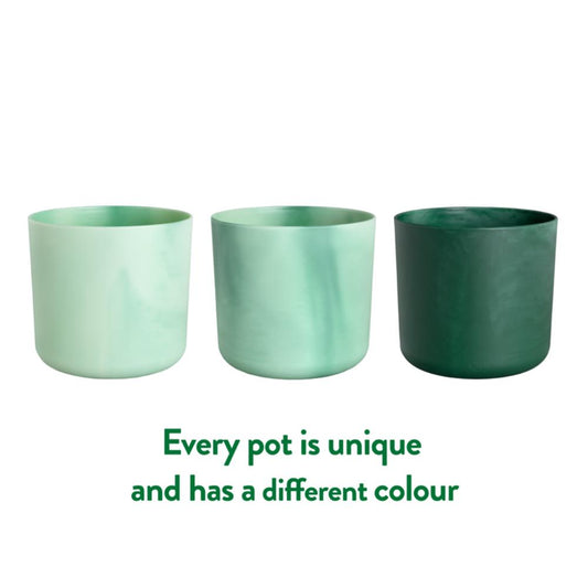 The Ocean Collection Round 16Cm Pacific Green
