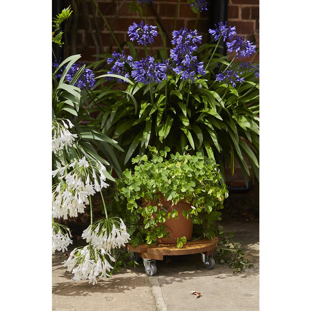 Traditional Pot Stand - 30cm -- (FSC)