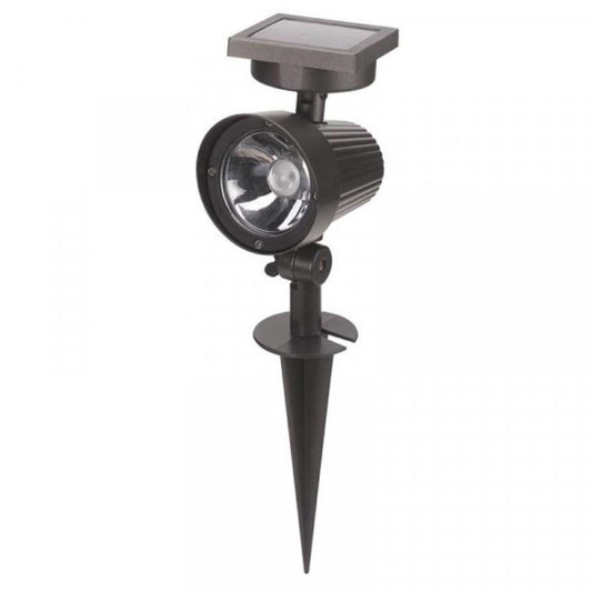 Ultra 365 Spotlight