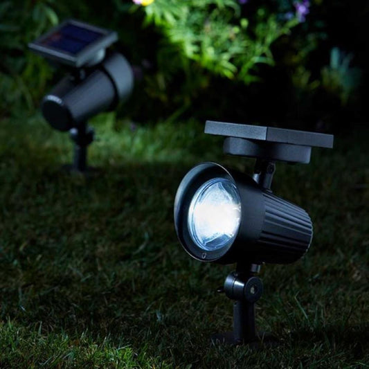 Ultra 365 Spotlight