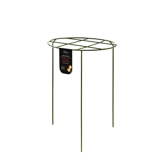Urban Garden Grow - Thru - Large