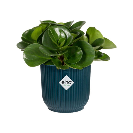 Vibes Fold Round 16Cm Deep Blue
