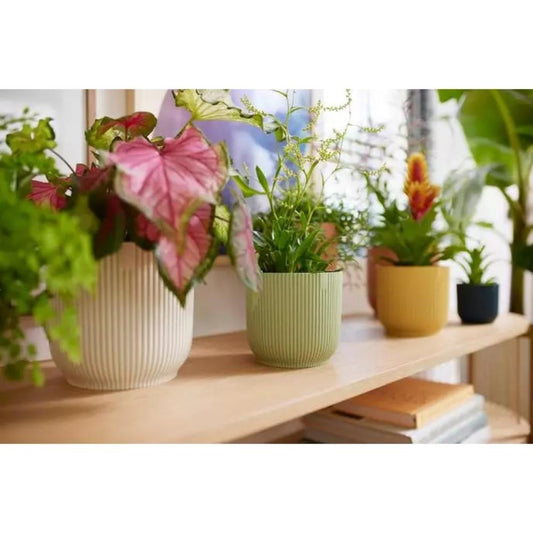 Vibes Fold Round 16Cm Sorbet Green