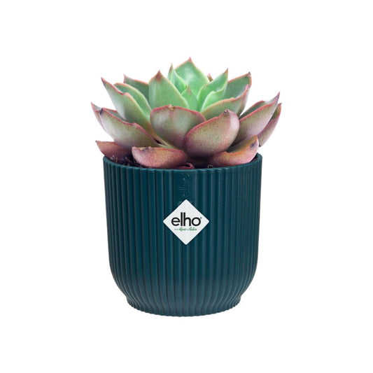 Vibes Fold Round 22Cm Deep Blue