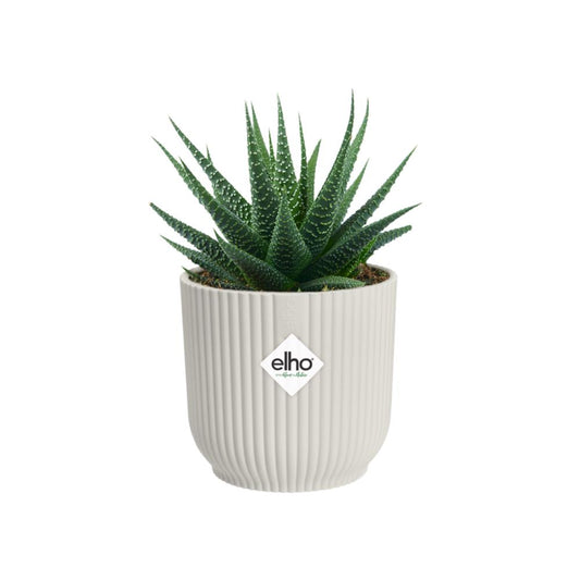 Vibes Fold Round 22Cm Silky White