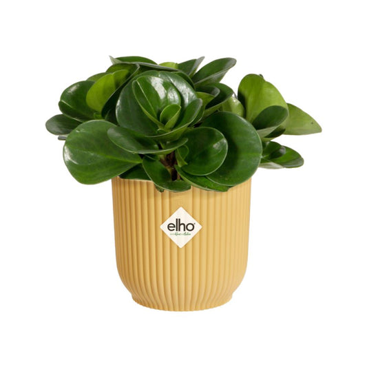 Vibes Fold Round Mini 11Cm Butter Yellow