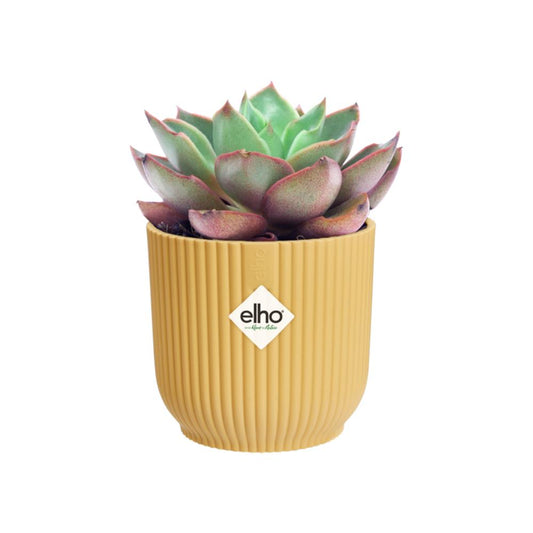 vibes fold round mini 9cm butter yellow