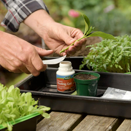 Westland Rooting Gel 150Ml