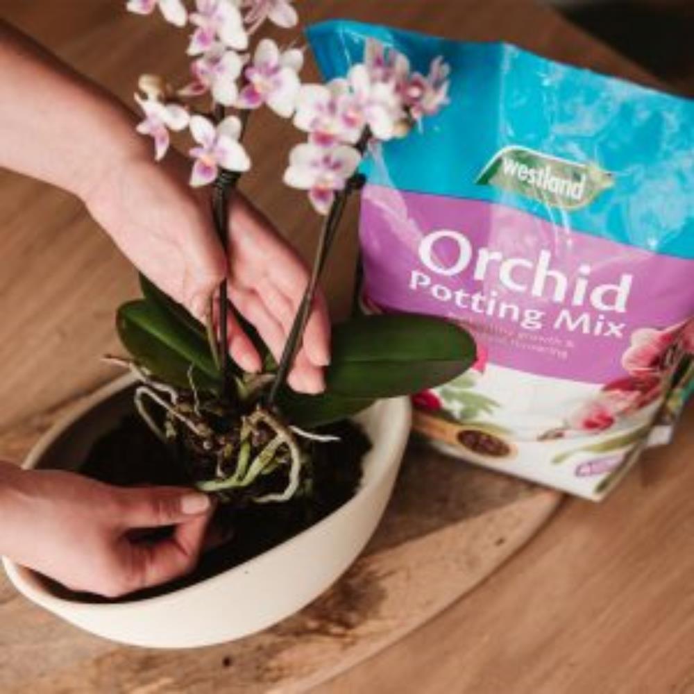 Orchid Potting Mix Enriched With Seramis 8l Specialist Compost Polhill Garden Centre 
