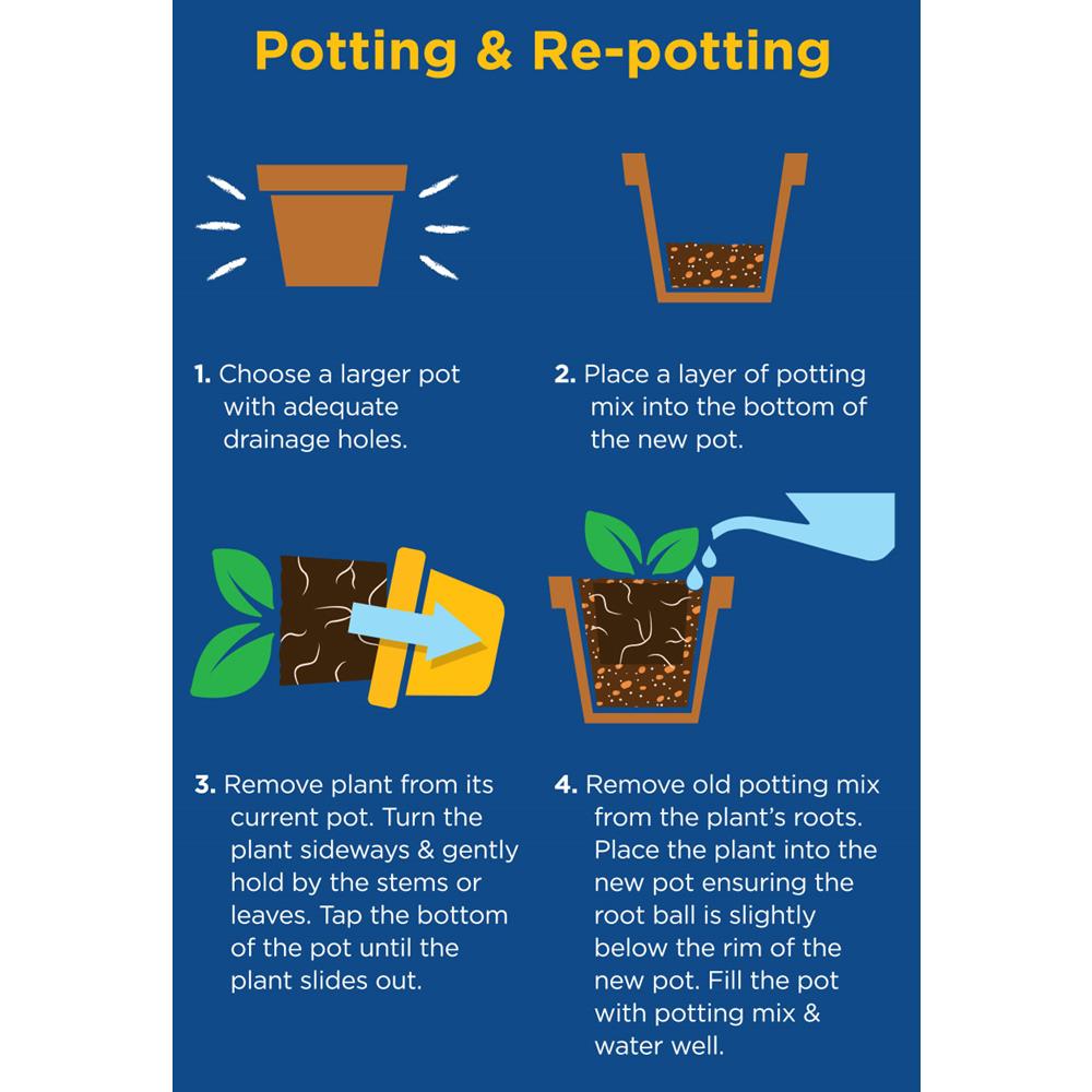 Houseplant Potting Peat Free Mix 20L - Specialist Compost - Polhill ...