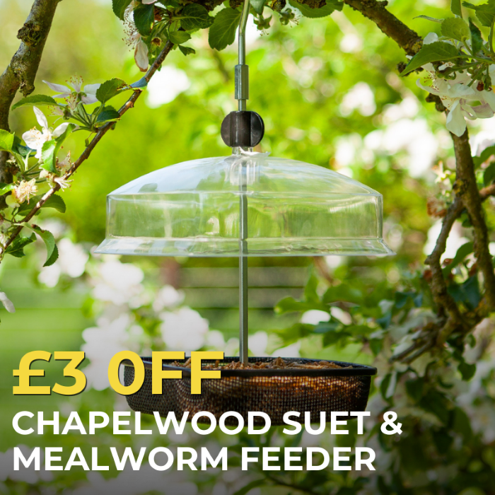 £3 Off Suet & Mealworm Feeder with Polhill+