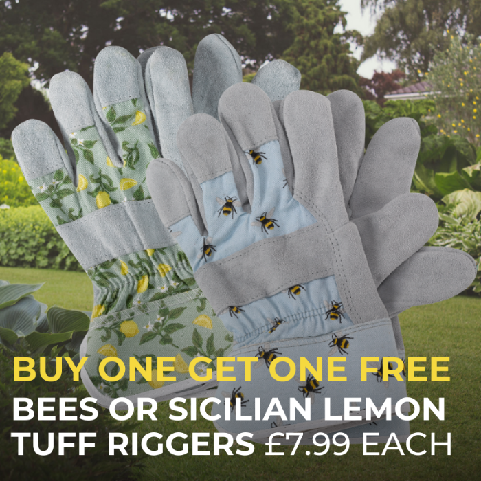 Polhill+ Buy One Get One Free on Bees or Sicilian Lemon Tuff Riggers