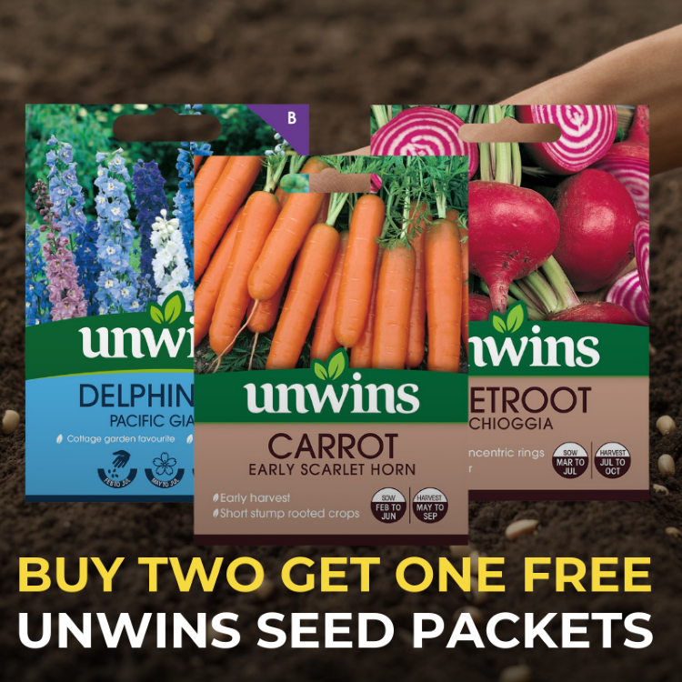 Buy Two Get One Free Unwins Seeds