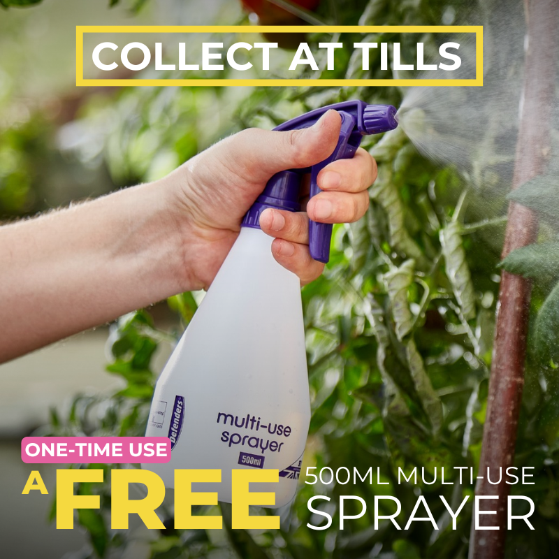 A Free 500ml Sprayer